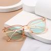 Neo Retro 3928 Tinted Sunglasses C1 Pink Blue