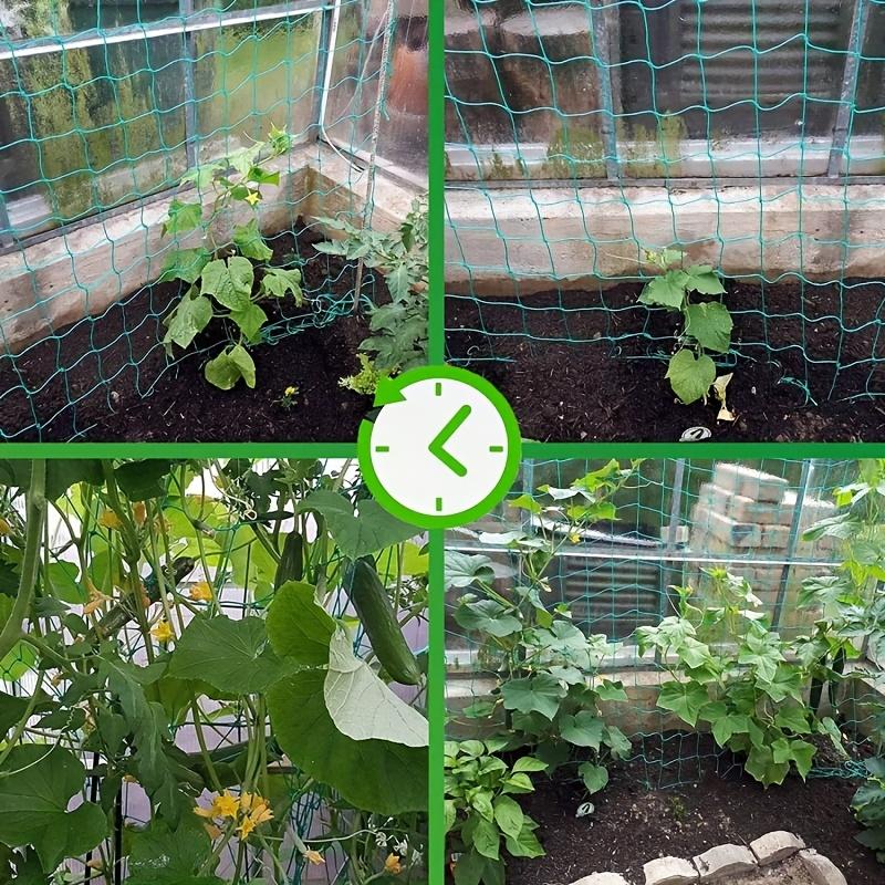 Garden Trellis Netting, Horticultural Lattice Support Square Grid for Climbing Plants Heavy-Duty Plant Support Netting, Ideal for Garden