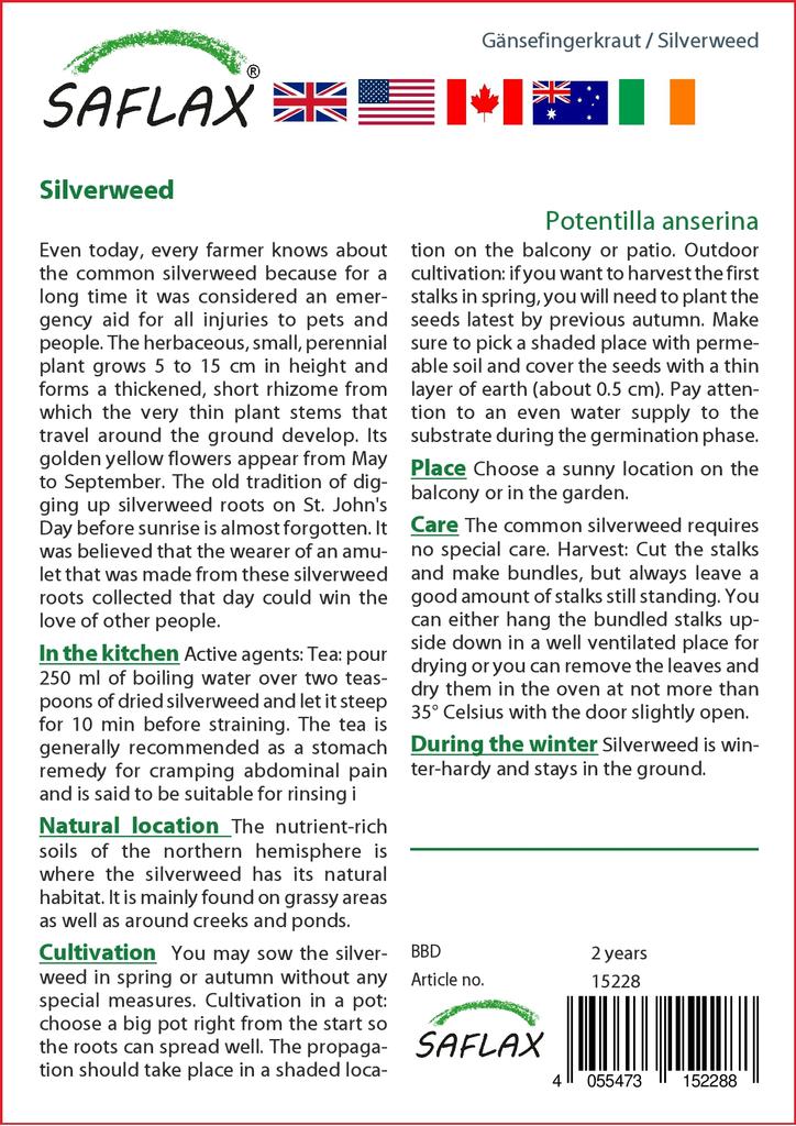 SAFLAX Garden In the Bag - Silverweed - 20 Seeds - With Substrate In a Fitting Stand Up Bag - Potentilla Anserina