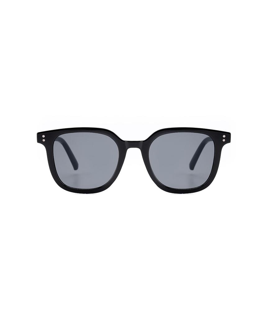 Lukadiseu Ls19 Ancona Oversized Two Dot Tinted Sunglasses 4 Colors