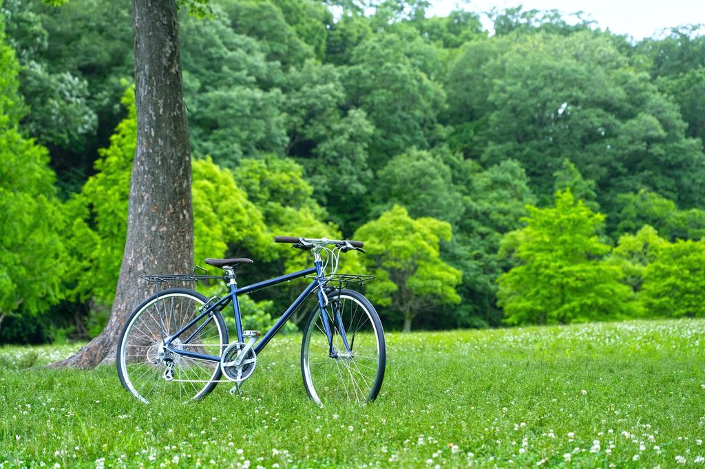 Showa Industries Rear Carrier for Cross Bikes, RCX-100/700C & 29re, Black, Cationic Black