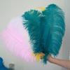 Thick Rod Wide Hair 50-55Cm Ostrich Feather Wedding Road Guide Table Flower Home Decoration Ornament Ostrich Hair White