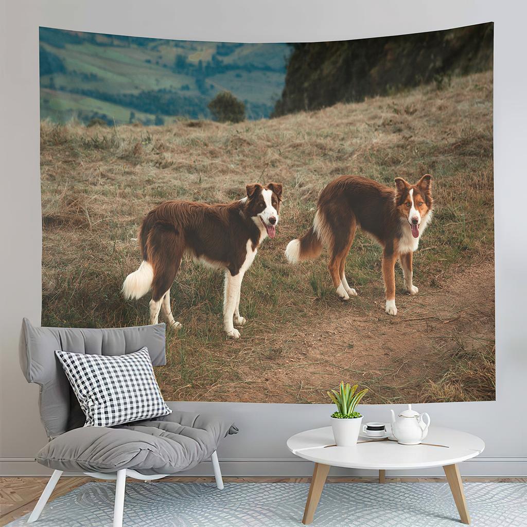 Border Collie Tapestry Fence Pastures Tapestry Adorable Animal Tapestry Creativity Art Tapestries Home Living Room Bedroom Dorm