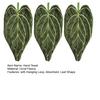 Leaf Shape Hand Towel Towel with Decorative Green Leaf Hanging Loop Absorbent Hand Towel for Drying