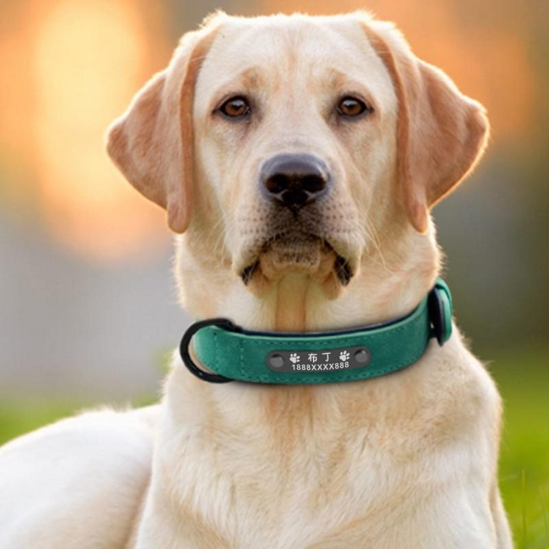 Grenzüberschreitendes graviertes Halsband für Haustiere, für große und kleine Hunde, Anti-Verlust-Lederhalsband, verstellbares Trainings-Halsband mit Hundemarke