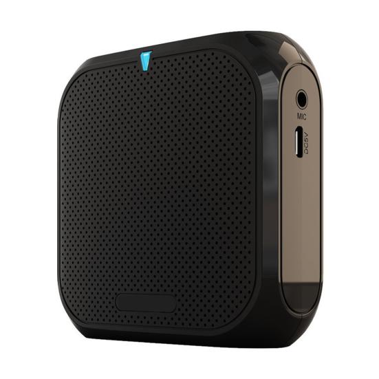 Portable Wireless Voice Amplifier Teachers Meeting Tour Guide Rechargeable PA System Speaker Personal Amplifier