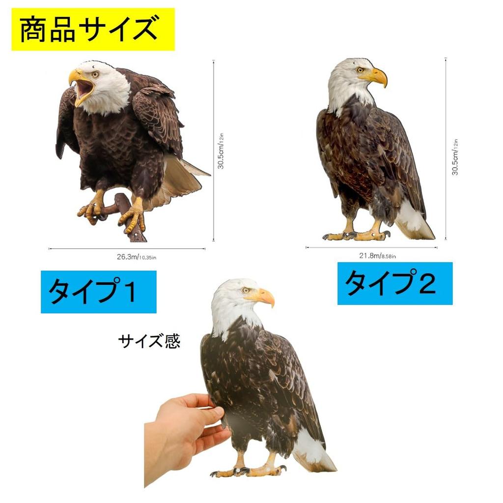 ST TS Bird Repellent, Realistic Eagle, Raptor, Owl, Sparrow, Pigeon, Crow, Bird Pest Control, Balcony, Garden, Field (Type 2x2)