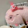 Lovely Capybaras Sturdy Plush Pencil Case Soft Multipurpose Compartment Organizers for School and Travel Supplies