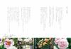 Enjoying Potted Pruning and Cultivation Methods Roses Easy-to-Understand