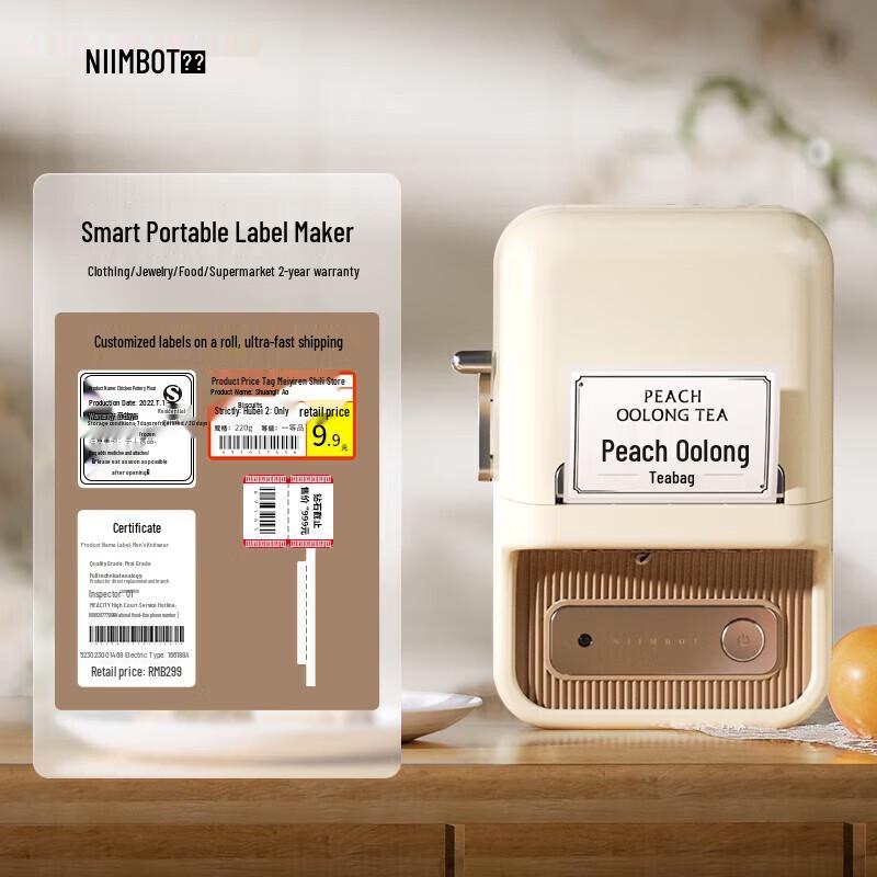 Jingchen B21 Smart Thermal Label Printer CN plug (adapter included)