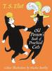 The Illustrated Old Possum by T. S. Eliot Hardback Book 9780571313082