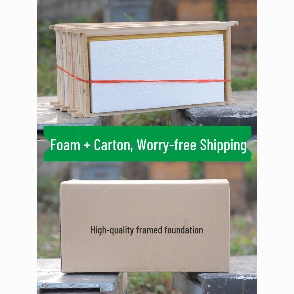 

Chinese Beeswax Deep Cell Comb Foundation Beekeeping Tool