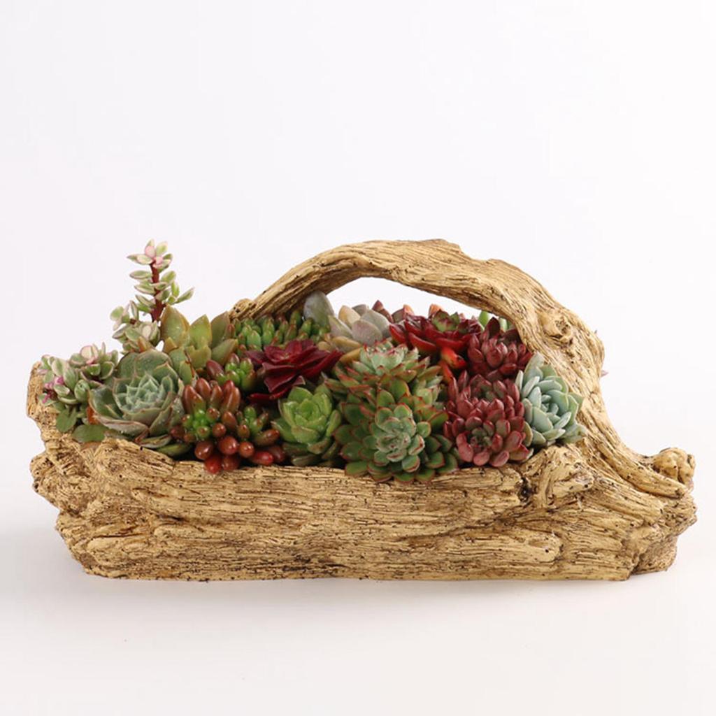 Succulent Pot Planter with Drainage Hole Office Herbs Plant Container Flower Pot