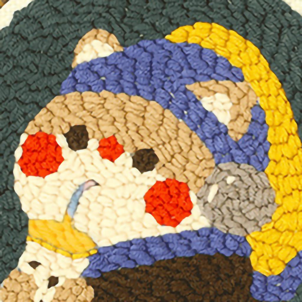 Punch Needle Embroidery Kits Exercise Patience Reusable Embroidery Punch Needle Kit for Starter DIY