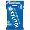 Xylitol Gum Fresh Mint 5P (14pcs X 5 Packs)” Feature Toward a Toothless Society.” Cool Mint ” Feature Toward a Toothless Society.” Cool Mint X