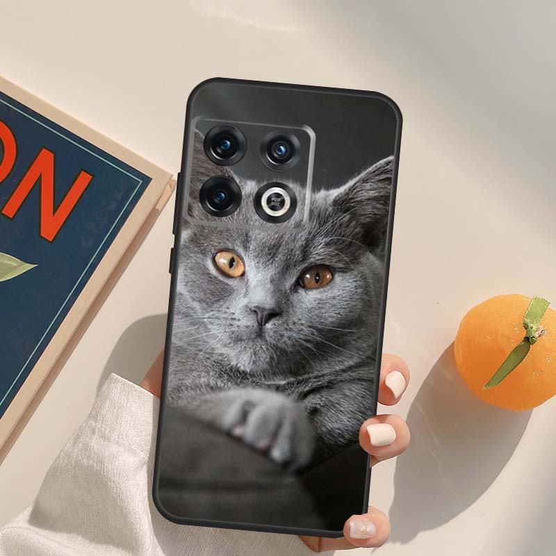 Beautiful Grey British Shorthair Cat Case For OnePlus Nord 5 CE 2 3 4 Lite N20 N30 OnePlus 15 13 12 11 13T 10T 10R 12R 13R Cover