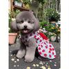 Summer Princess Dog Dress For Small Medium Dogs - Cute Printed Bowknot Lace Pet Skirt | Fashionable Puppy Apparel For Poodle Chihuahua & Small Breeds