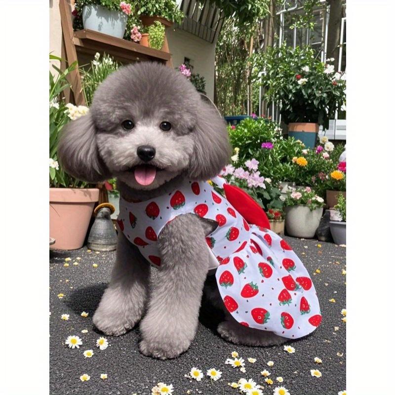 Summer Princess Dog Dress For Small Medium Dogs - Cute Printed Bowknot Lace Pet Skirt | Fashionable Puppy Apparel For Poodle Chihuahua & Small Breeds
