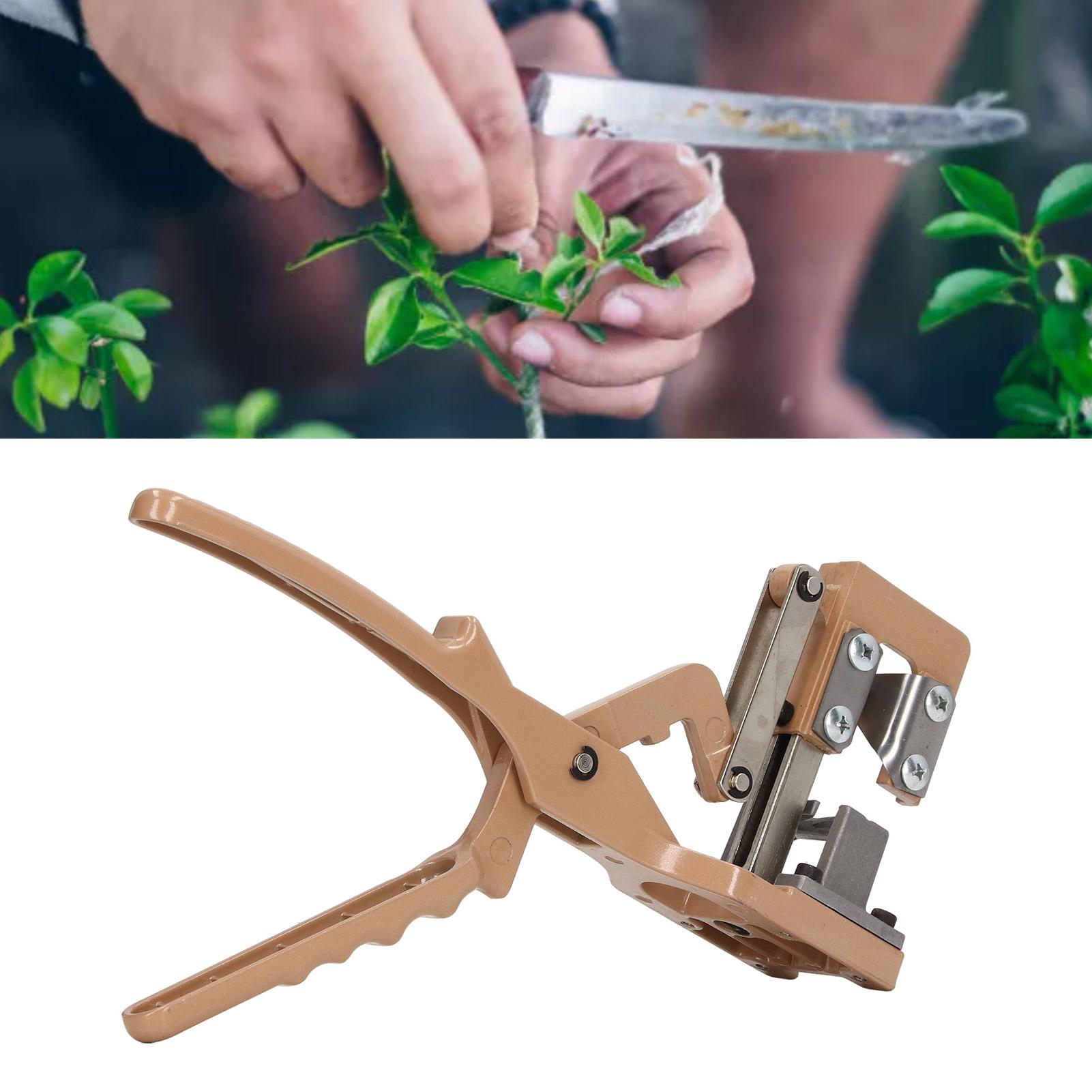 Entgereedschap Kit, Draagbaar Professioneel Entgereedschap Snoeischaar Entsnijgereedschap voor Plantentakken Wijnstok Fruitbomen