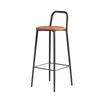 Nordic Iron Art Bar Stool with Backrest – Modern, Luxurious Design