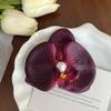 Thai Style Butterfly Orchid Hair Clip Sweet Women Side Clip Orchid Flower Hairpin  Bag Decoration