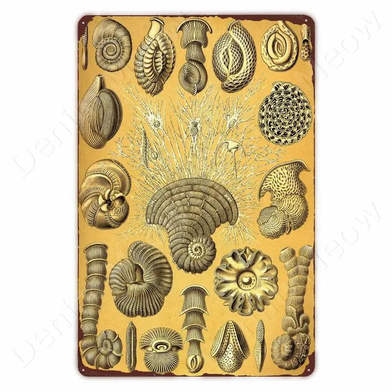 Starověcí Znamení Vintage Kovové Znamení Fosilní Nástěnné Umění Plakát Savci Ryby Znamení pro Domov Třída Dekor Hmyz Plechové Znamení