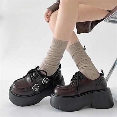 Retro British Style Versatile Heightening Platform Small Leather Shoes Women's 2025 New Autumn and Winter Skirt Mary Jane Single Shoes