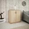 2D Sonoma Oak Chest Of Drawers, Two-Door With Shelf