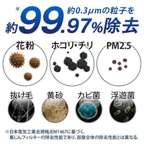 Iris Ohyama Pollen Air Purifier Dust Collection Filter KFN-700HF