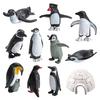 11Pcs/Set Animal Model Realistic Cognitive Education PVC Great Penguin Simulation Animal Model Birthday Gift