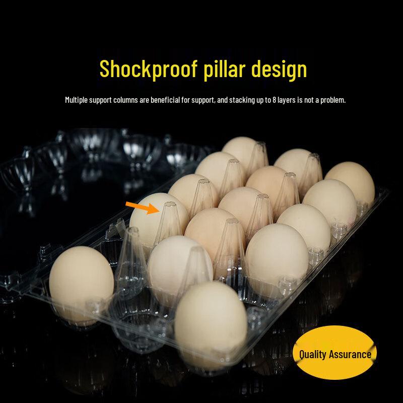 Thickened Plastic Egg Cartons