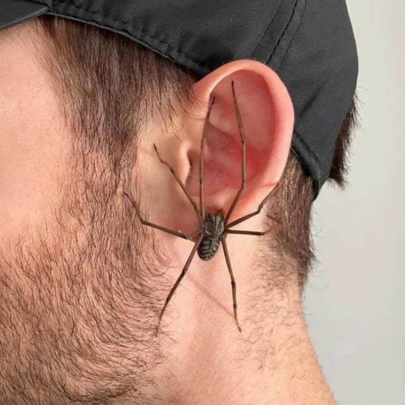 Halloween MUST-HAVE! Giant 3D Spider Ear Studs - Punk Goth Alternative Statement Jewelry for Men & Women Everyday Bold Look