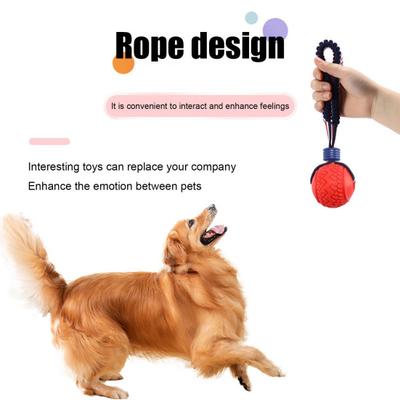 Köpek – Köpek oyuncakları