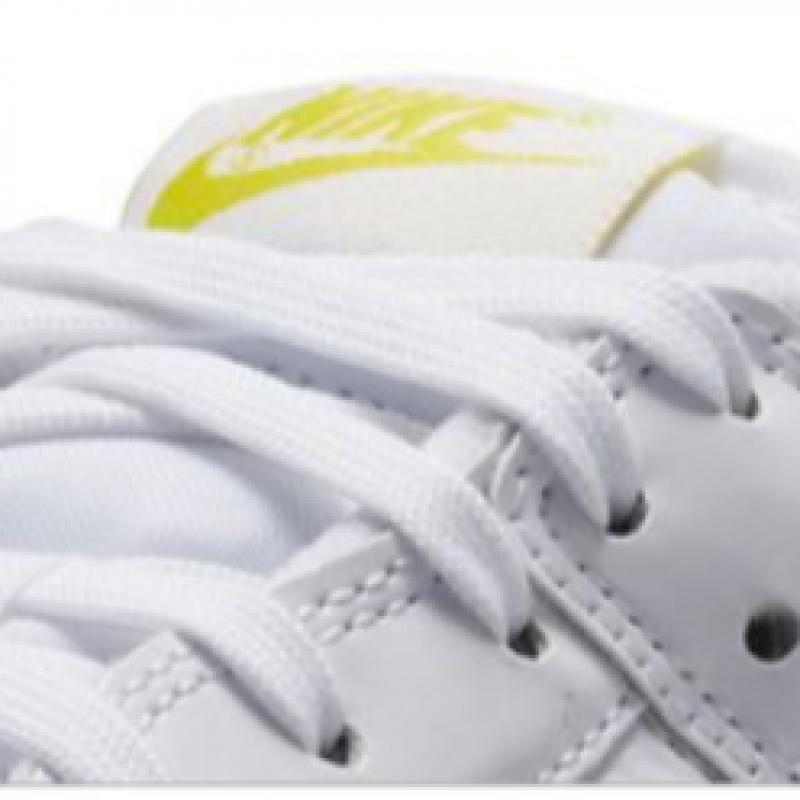 Nike Women S Dunk Low Fd0803 100