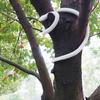 120CM Fake Snake Toy Simulation Snake Realistic Snake Prank Prop Cosplay Props Tricky Playthings for Kids Children (White)