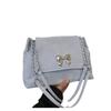 Niche Commuter Bag Messenger Bag Women's Spring and Summer New Trendy Fashion Versatile Shoulder Chain Tote Bag