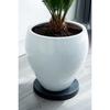 NATURE Rolling Shelf for Plants - Polypropylene - H4 X Ø29.2 Cm