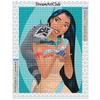 Diamond Painting Princess Indian Princess Pocahontas Diamond Mosaic Elsa Mulan Cross Stitch Home Decoration