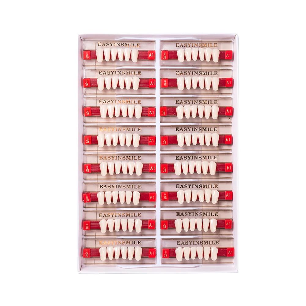 16/12 Sätze/Karton Zahnprothese Zähne Oberkiefer Frontzähne Unterkiefer Seitenzähne Dentier Synthetisches Polymerzähne Zahnmedizinische Ausbildungsmodell