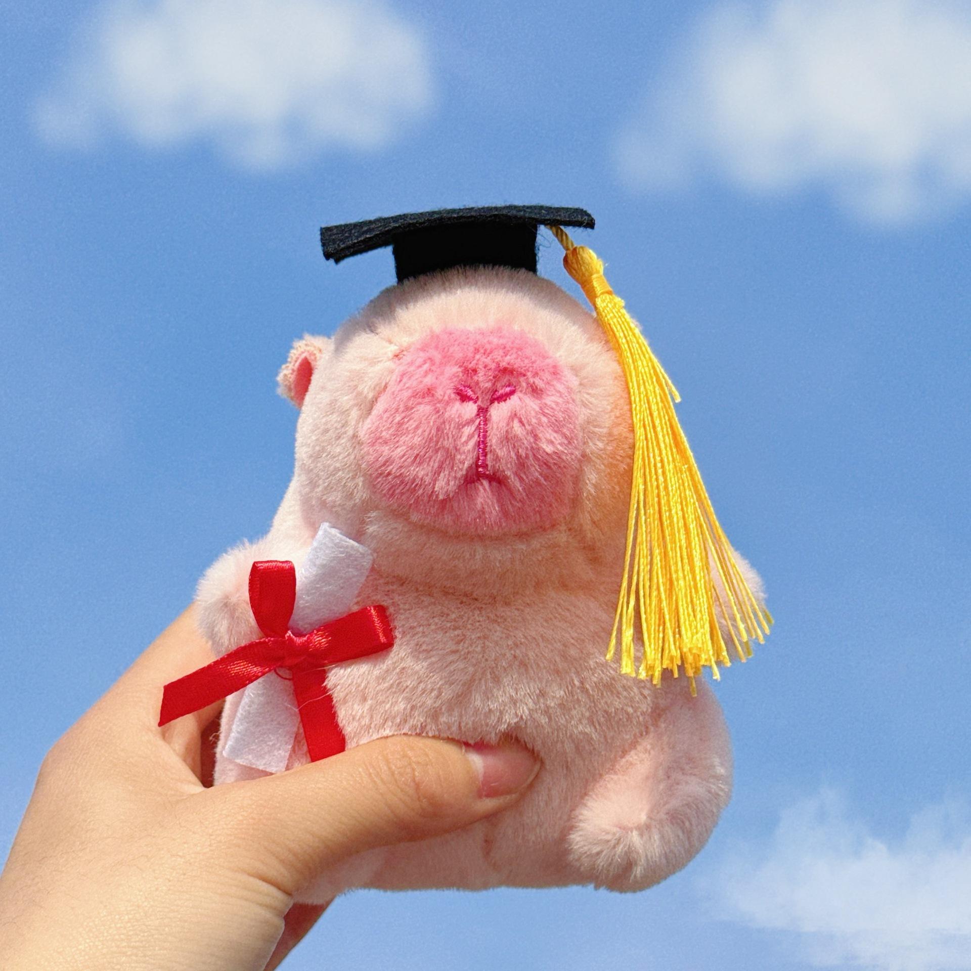 

Милый Капибара Доктор. Мягкие плюшевые игрушки для студентов в подарок About 11 cm high розовый