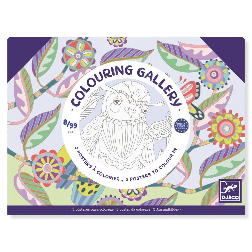 DJECO Coloring Gallery Bird Coloring Set Adult Coloring Patterns A fun hobby for ages and 10 Boys and Girls Perfect for school entrance and - Book