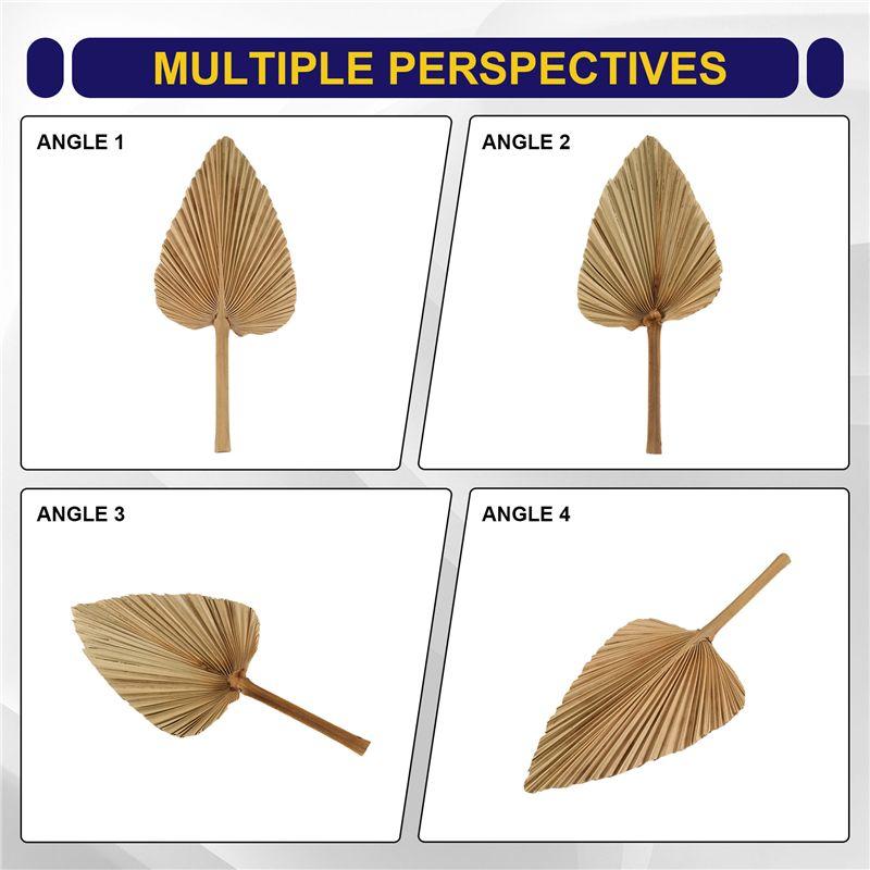 ABBY-6PCS Dried Palm Leaves Natural Dried Palm Fans,Large Palm Spear For Boho Wedding Decor,Tropical Palm Leaves Decoration Dura