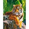 5D DIY Diamond Painting Kits Animal Landscape Cross Diamond Embroidery Painting Full Round Diamond Mosaic Home Decor Gift