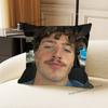 Singer B-Benson B-BooneS Pillow Case Ultra Soft Skin Friendly Fabric Cloud Like Comfort & Concealed Zipper