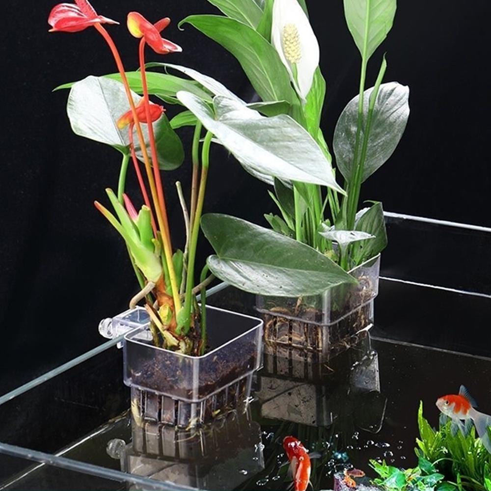 Aquarienpflanzenhalter, Transparenter Hängetopf für Aquarienwasserpflanzenzucht und Aquascaping-Dekorationen Pflanzgefäße
