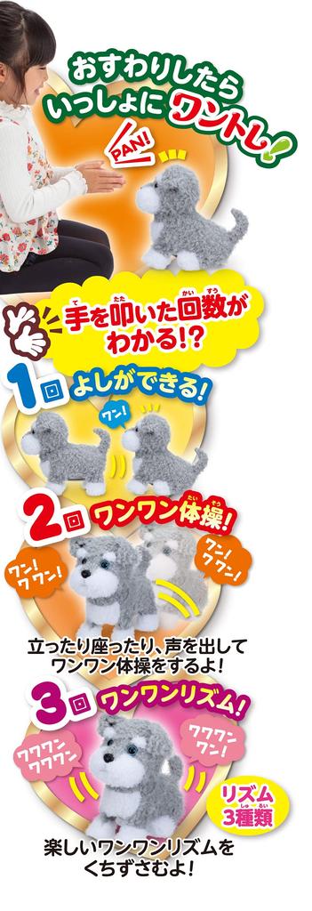 Iwaya One Training Together Miniature Schnauzer 1, 2, 3!