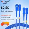 Boyang Armored SC-SC Single Mode Fiber Optic Patch Cable