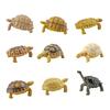 Turtle Cognitive Toys Adorable Delicate Plastic Galapagos Tortoise Decoration Model for Kids