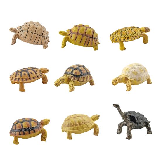 Turtle Cognitive Toys Adorable Delicate Plastic Galapagos Tortoise Decoration Model for Kids