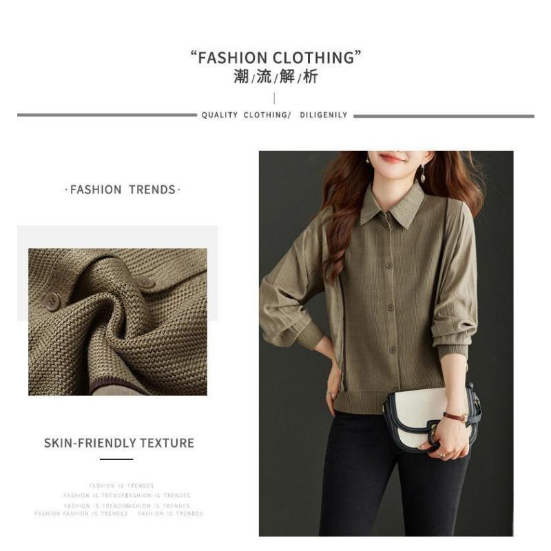 Women's Pullover Button Long Sleeve Lapel Spring and Autumn Bottoming Shirt Women's Elegant Top